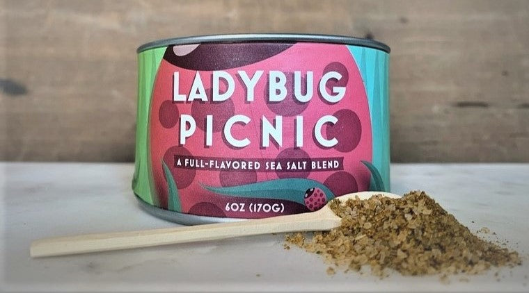 SALT Ladybug Picnic
